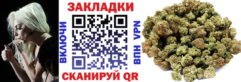 Где купить наркотики Нововоронеж Alpha-PVP  Конопля  Cocaine 