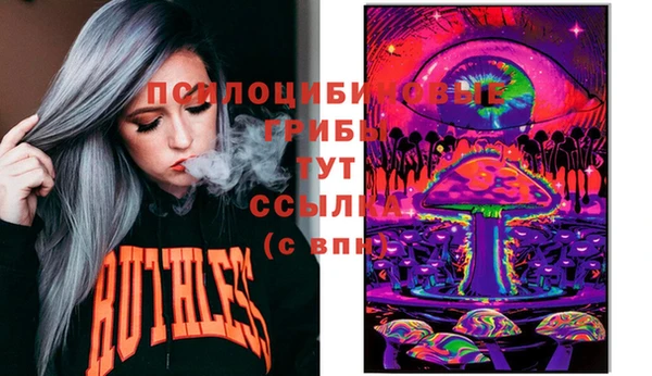 стафф Алексин