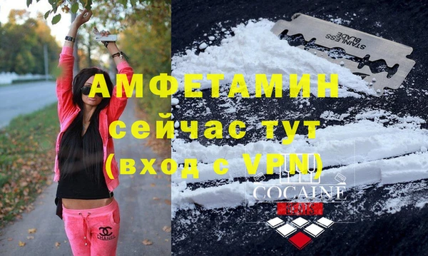 стафф Алексин
