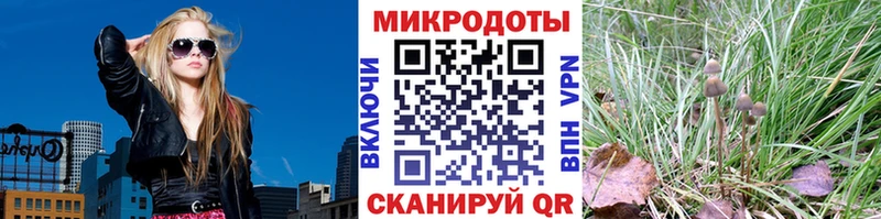 Галлюциногенные грибы Psilocybine cubensis  кракен ссылки  Нововоронеж 