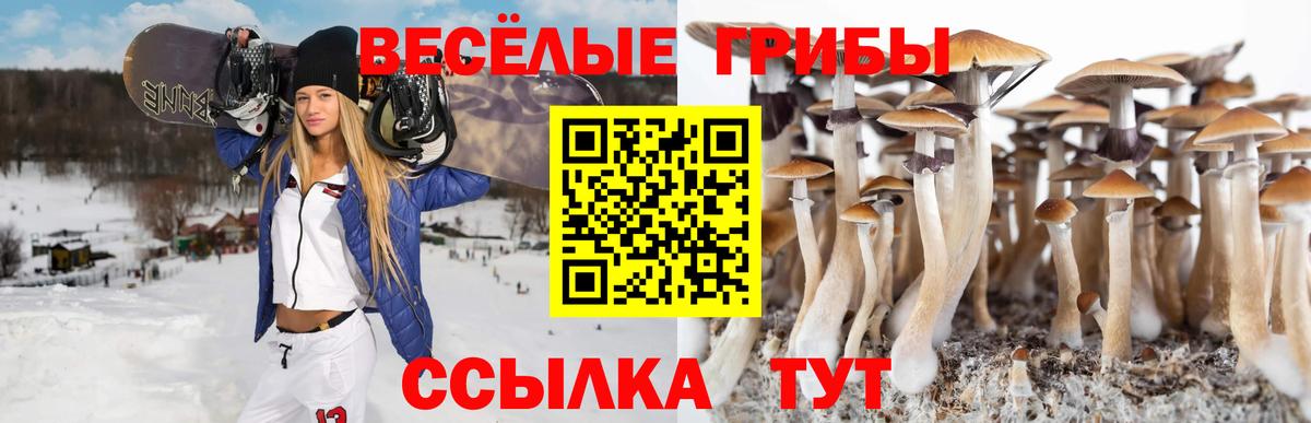Нововоронеж  что такое наркотик  Вход с VPN  Галлюциногенные грибы Cubensis 