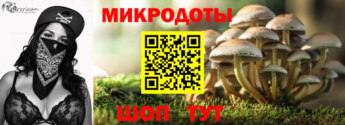 Галлюциногенные грибы GOLDEN TEACHER Нововоронеж